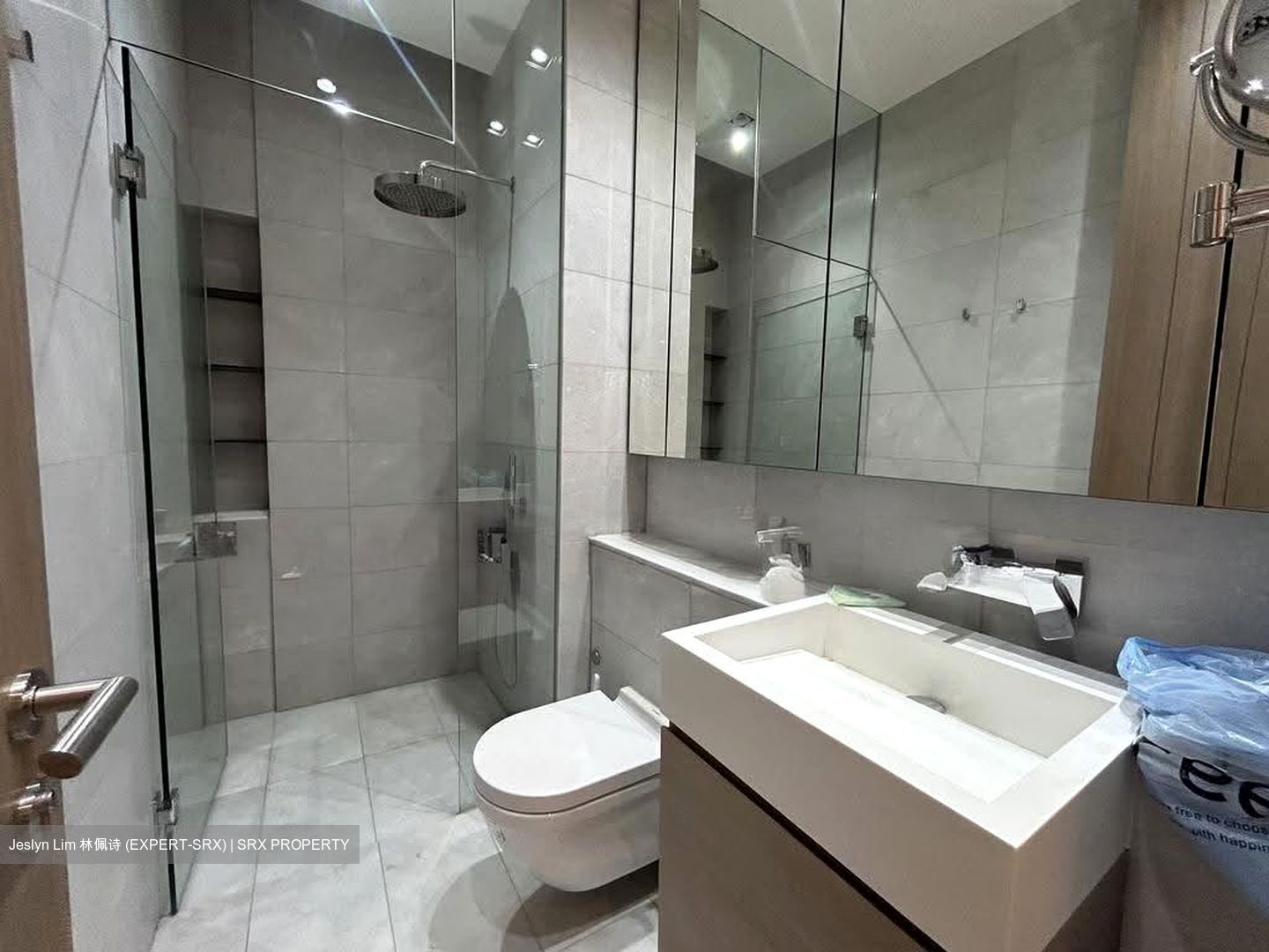 Cluny Park Residence (D10), Condominium #614680311